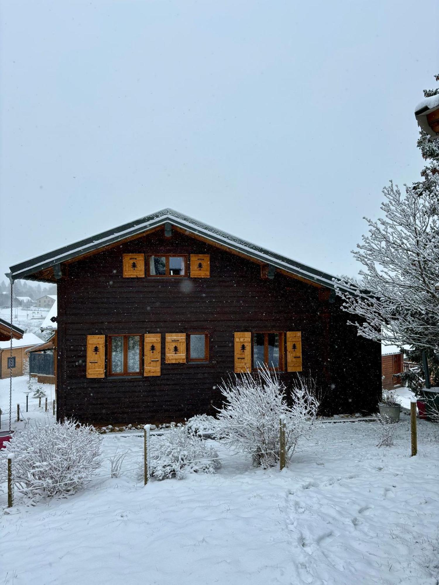 Chalet L'Embellie - Chalet Avec Piscine Partagee Saint-Laurent-en-Grandvaux Buitenkant foto